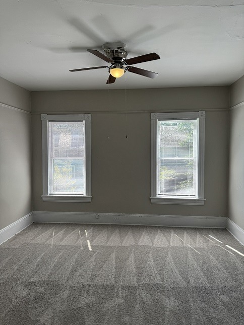 Gallery Photo 11